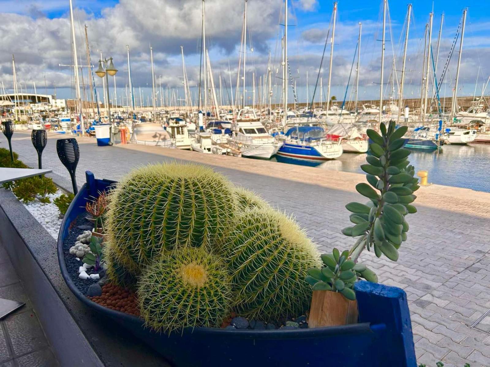 Casa Natalie La Marina Διαμέρισμα Puerto Calero Εξωτερικό φωτογραφία
